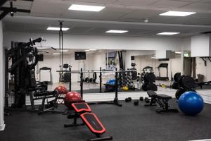 Fitness centrum a/nebo fitness zařízení v ubytování Home Hotel Smedjan