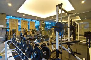 Fitness centrum a/nebo fitness zařízení v ubytování LK Royal Suite