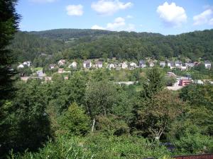 a group of houses on a hill with trees at Ferienwohnung Andrea in Eberbach