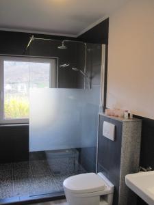 a bathroom with a toilet and a glass shower at Ferienwohnung Andrea in Eberbach