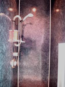 a shower with a shower head in a bathroom at Corbie Self Catering Shetland in Lerwick