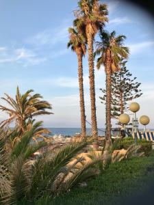 grupa palm nad oceanem w obiekcie Casa Vacanze Bungalow I Girasoli w mieście Ventimiglia