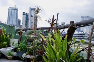 Fotografie z fotogalerie ubytování Birdnest Guesthouse, Gaia Rooftop Cafe v Kuala Lumpur