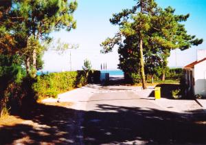 uma estrada com árvores e o oceano no fundo em Parque de Campismo Orbitur Sao Jacinto em São Jacinto