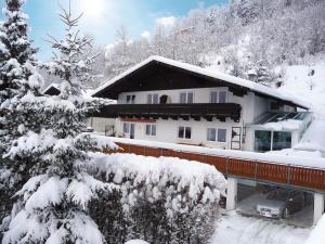 dom pokryty śniegiem z pokrytym śniegiem drzewem w obiekcie Apartment Zaglau w mieście Sankt Johann im Pongau