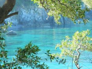 a painting of a river with trees in the foreground at Hotel Ristorante Borgo La Tana in Maratea