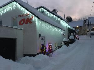 a restaurant covered in snow with christmasmas trees outside at Penzion OK in Svoboda nad Úpou