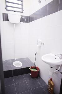 a bathroom with a sink and a toilet at Arau Idaman Homestay in Arau