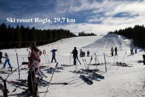 a group of people on a ski resort in the snow at Apartment Janja in Vojnik