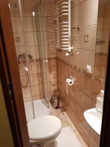 y baño con aseo, ducha y lavamanos. en Euro Zajazd - Casa Di Fulvio Maria Viola, en Bielsko-Biala