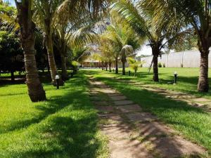 a path lined with palm trees in a park at Chacara Recanto dos Passaros 01 in Olímpia