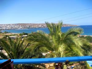 a view of the ocean and palm trees from a balcony at Corina Apartments in Sitia