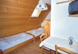 Μια τηλεόραση ή/και κέντρο ψυχαγωγίας στο Ferienwohnung Richter