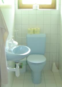 リート・イム・ツィラータールにあるFerienwohnung Kainer Carinaのバスルーム(トイレ、洗面台付)