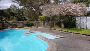 Poripori Homestead في تاورانجا: مسبح في ساحة بجانب سياج