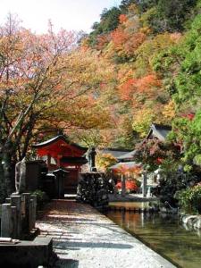 um caminho ao lado de um corpo de água com árvores em Atarashiya Ryokan em Tenkawa