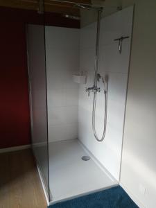 a shower with a glass enclosure in a bathroom at Doeselie in Ronse