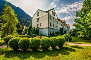 Příroda nedaleko hotelu