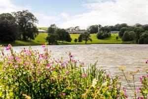 a view of a river with pink flowers at The Coniston Hotel Country Estate & Spa - Skipton in Gargrave
