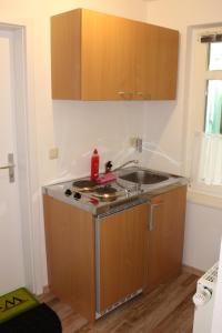 uma cozinha com um lavatório e uma bancada em Pension Holly em Oschatz
