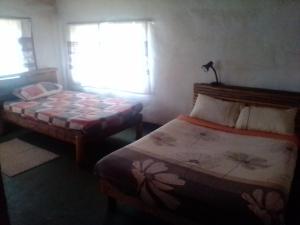 A bed or beds in a room at Joy River Backpackers