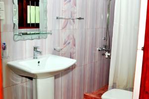 a bathroom with a sink and a shower with a toilet at Nethmi Villa in Bentota