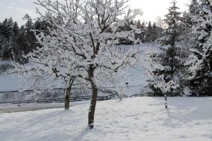 Chalet Alte Mühle v zime