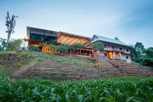 une maison sur une colline avec des marches devant elle dans l'établissement Thongphaphum River, à Thong Pha Phum