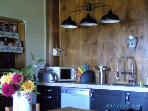a kitchen with a sink and a counter top at La Fontaine in Saint-Georges-en-Couzan