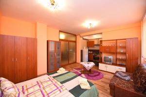 a living room with a couch and a kitchen at Apartament TRIDENT 2 in Haţeg
