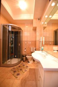 a bathroom with a shower and a sink and a toilet at Apartament TRIDENT 2 in Haţeg