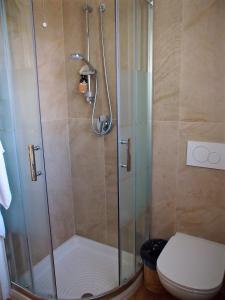 ヴィチェンツァにあるRiver Houseのシャワー(ガラスドア付)、トイレが備わります。