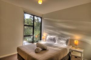 sypialnia z łóżkiem i dużym oknem w obiekcie Hazards Rim w mieście Coles Bay