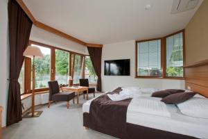 TV a/nebo společenská místnost v ubytování Hotel resort Lovecká bašta Strakonice