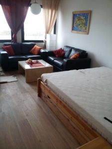 ein Wohnzimmer mit einem Bett und einem Sofa in der Unterkunft Homalux 1,5 Zimmer-Yachthafen / Südstrand in Burgtiefe auf Fehmarn 