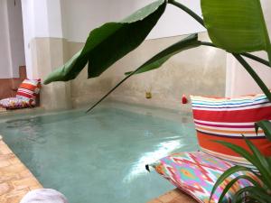 una piscina con una silla y una planta en Riad Dar Balthazar, en Marrakech