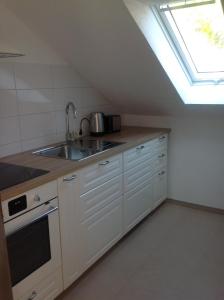 an attic kitchen with a sink and a window at Kress No.1 in Kehl am Rhein