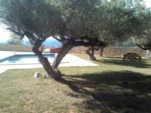 L'Ermita Casa Ripo
