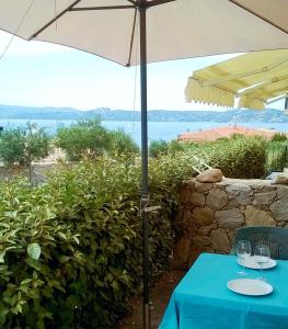 Φυσικό τοπίο κοντά σε αυτό το διαμέρισμα +10 φωτογραφίες