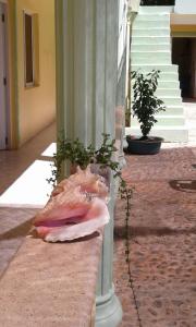 Fotografie z fotogalerie ubytování Hotel Pedernales Italia Republica Dominicana v destinaci Pedernales