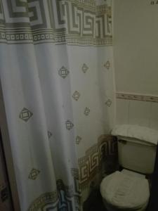 La salle de bains est pourvue de toilettes et d'un rideau de douche. dans l'établissement Apartamento Batuco Rivas Vicuña, à Santiago