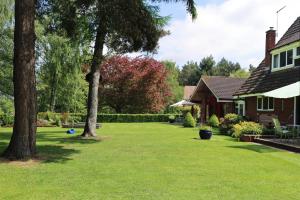 a yard with a house and trees and grass at Surlingham Lodge Garden Cottage in Norwich