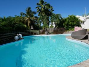 a large blue swimming pool with palm trees in the background at La petite kaz in Saint-François
