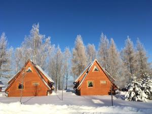 two wooden cabins in the snow with trees at Czocha Palace&Czocha Camping - OR Czocha in Leśna