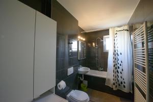 ein Bad mit einem Waschbecken, einem WC und einer Dusche in der Unterkunft Apartamente Olivero in Braşov