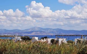 Gallery image of Nefeli in Drios