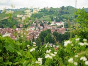 a view of a town from a hill with white flowers at AleKS friendly house in Canale