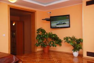ヴィーシュホロドにあるVIP Apartments 11 Kievの鉢植えの植物が2本あるリビングルーム(テレビ付)