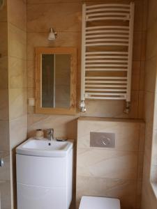La salle de bains est pourvue de toilettes, d'un lavabo et d'un miroir. dans l'établissement Biołe Izby, à Chochołów