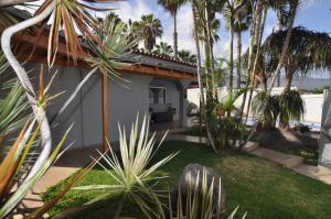 un patio trasero con palmeras y una casa en Luxusvilla Puerto de la Cruz, en Puerto de la Cruz